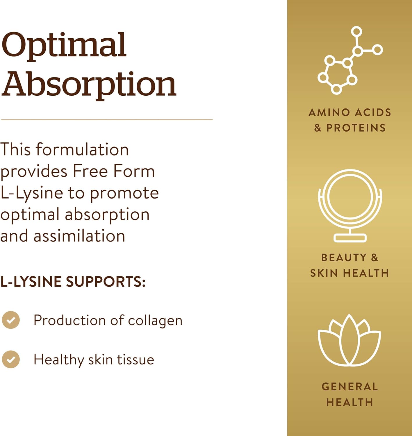 Solgar L-Lysine 1000 mg, 100 Tablets - Enhanced Absorption and Assimilation - Promotes Integrity of Skin and Lips - Collagen Support - Amino Acids - Non GMO, Vegan, Gluten Free - 100 Servings