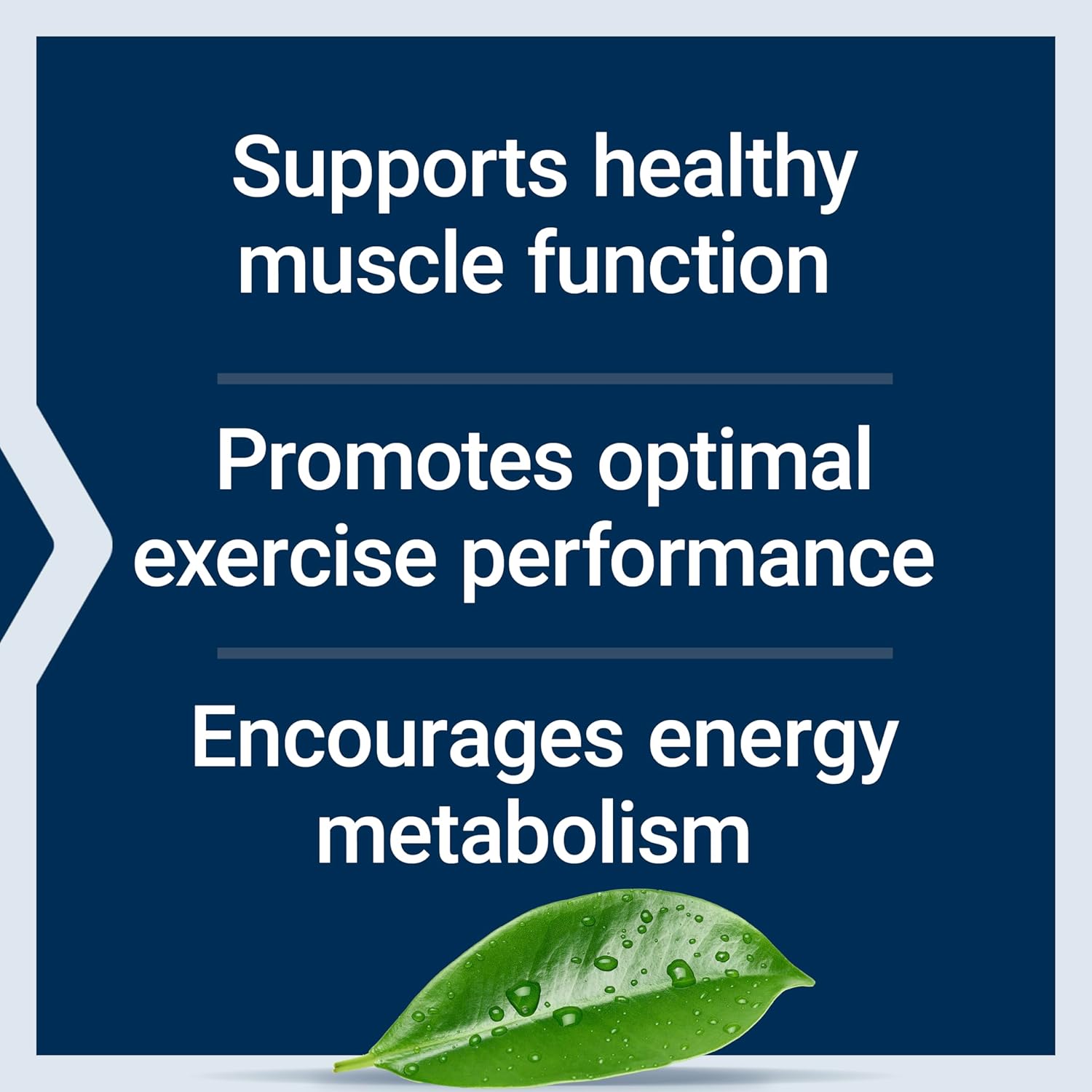 Life Extension Creatine Capsules – Creatine Monohydrate – Promotes Strength, Lean Muscle, Healthy Endurance – Non-GMO, Gluten-Free – 120 Capsules