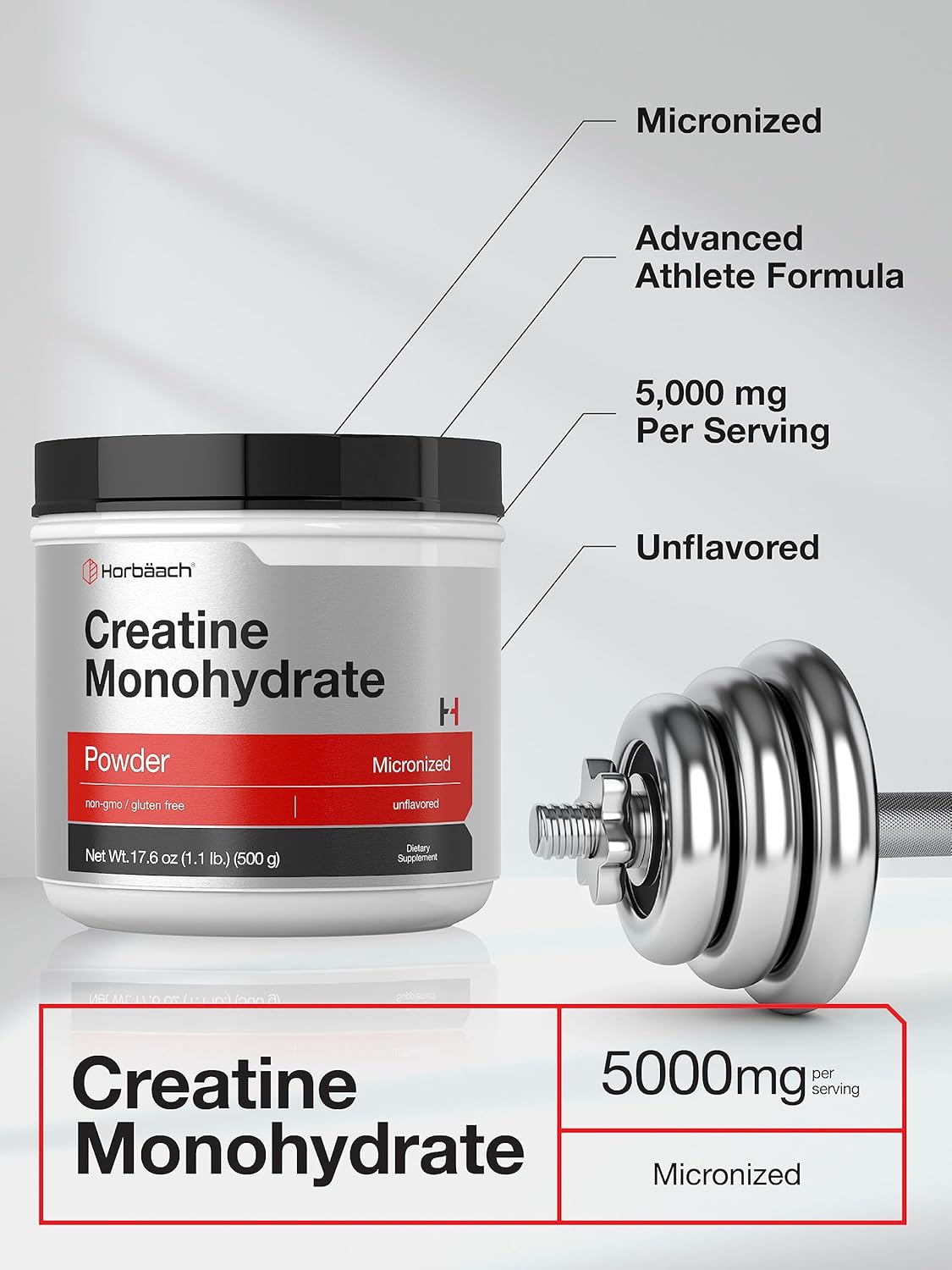 Horbäach Creatine Monohydrate Powder | 1.1lb (17.6 oz) | Micronized and Unflavored | Vegetarian, Non-GMO, and Gluten Free Supplement