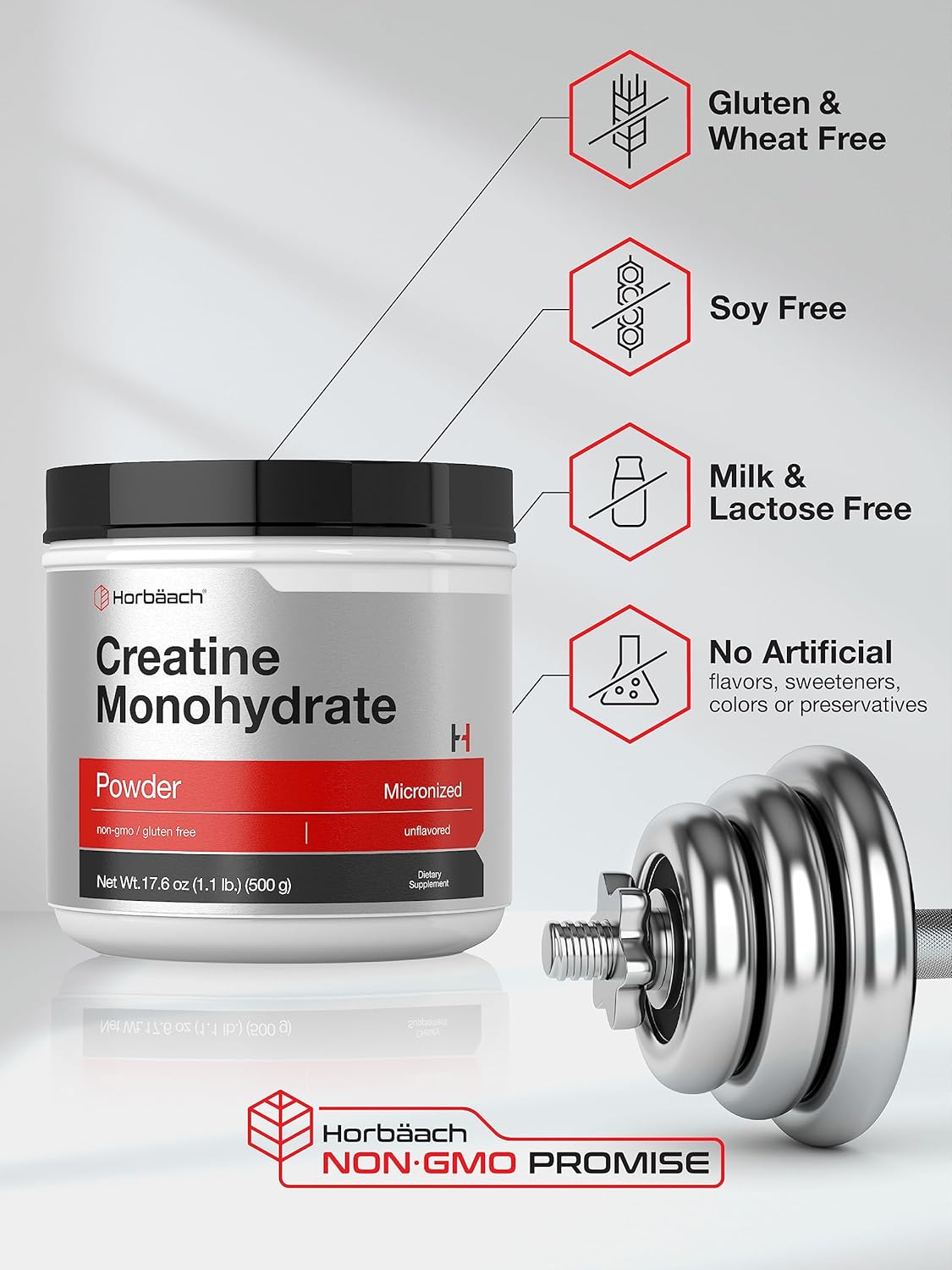 Horbäach Creatine Monohydrate Powder | 1.1lb (17.6 oz) | Micronized and Unflavored | Vegetarian, Non-GMO, and Gluten Free Supplement