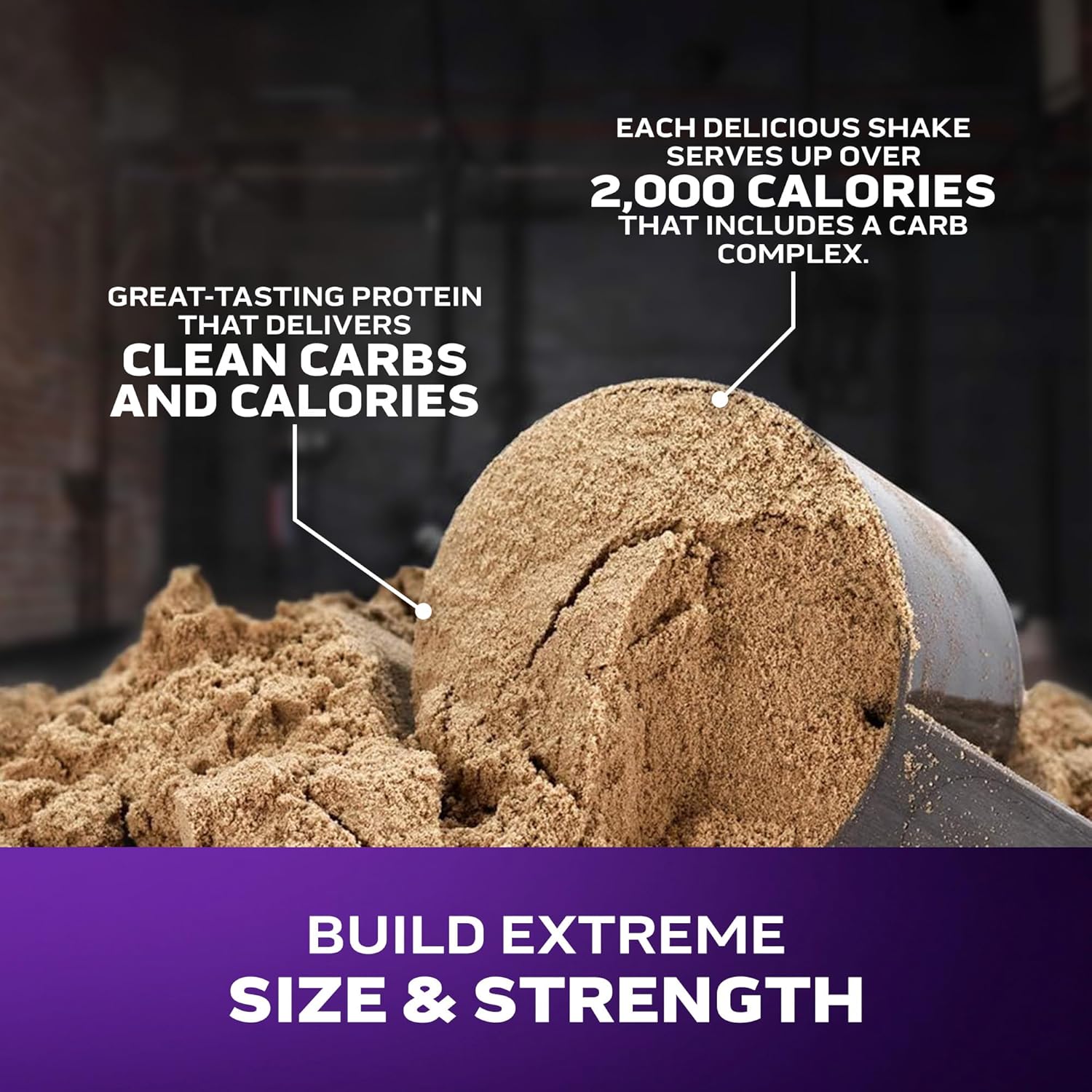 Muscletech High-Protein Mass Gainer (Vanilla Milkshake, 6LB) - Mass Tech Extreme 2000 Mass Gainer Protein Powder Supplement - Weight Gainer for Increase Muscle & Enhanced Recovery - Packaging May Vary