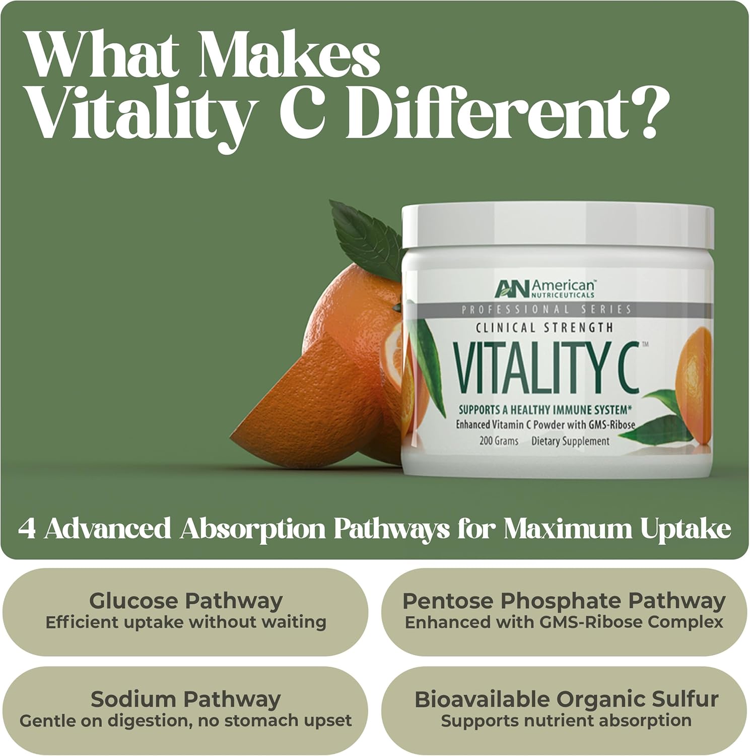 American Nutriceuticals - Vitamin C Powder - Supplement for Immune Support - Natural, Sugar Free -Non-Acidic - 4000mg