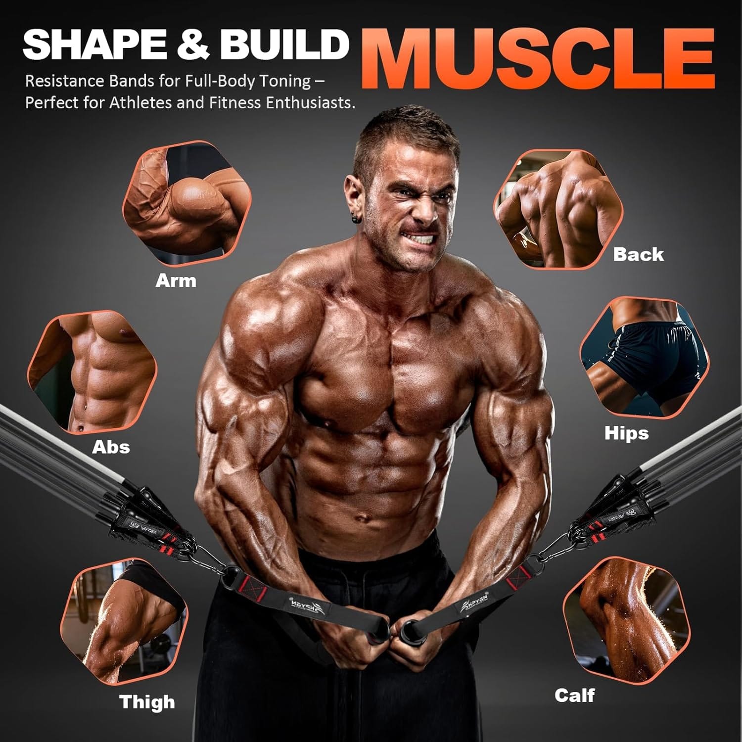 Bandas de Resistencia, Bandas de Ejercicio con Asas, Bandas de Fitness, Bandas de Entrenamiento